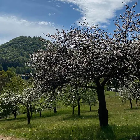 Haus Am Sagenweg * Nothweiler