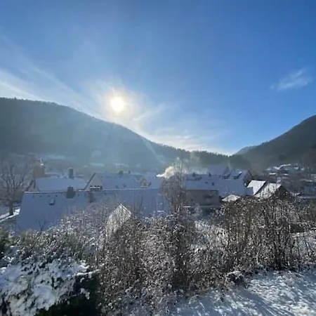 Vakantiehuis Haus Am Sagenweg *