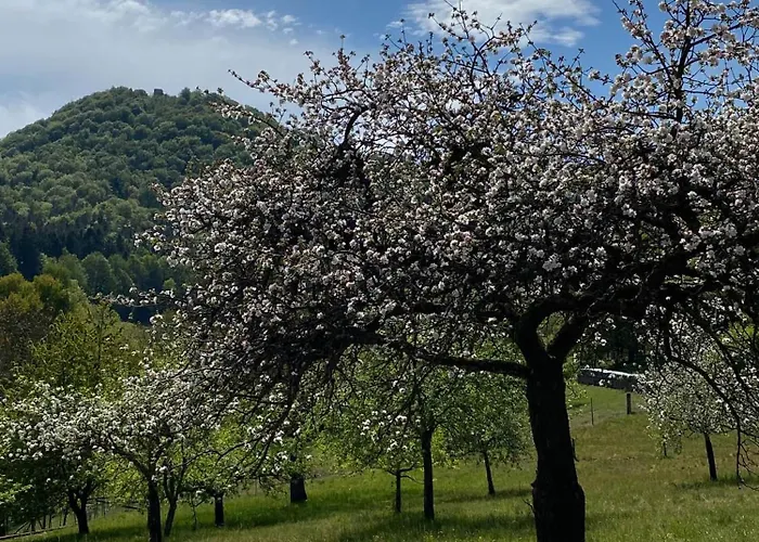 Haus Am Sagenweg * Nothweiler